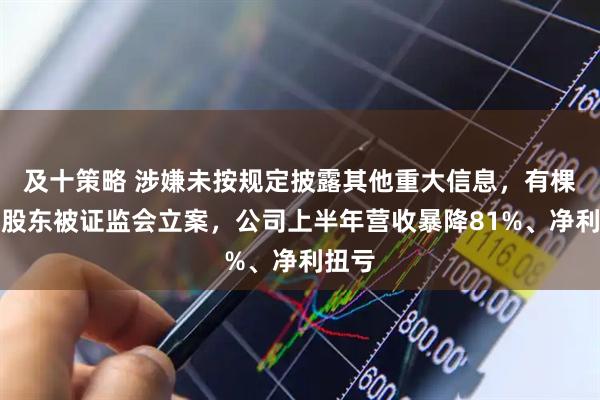 及十策略 涉嫌未按规定披露其他重大信息，有棵树三股东被证监会立案，公司上半年营收暴降81%、净利扭亏