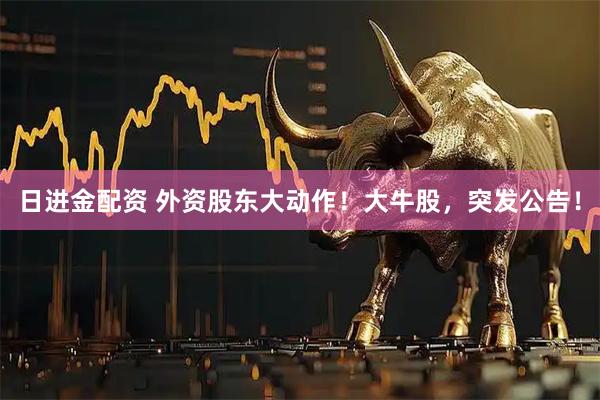 日进金配资 外资股东大动作！大牛股，突发公告！